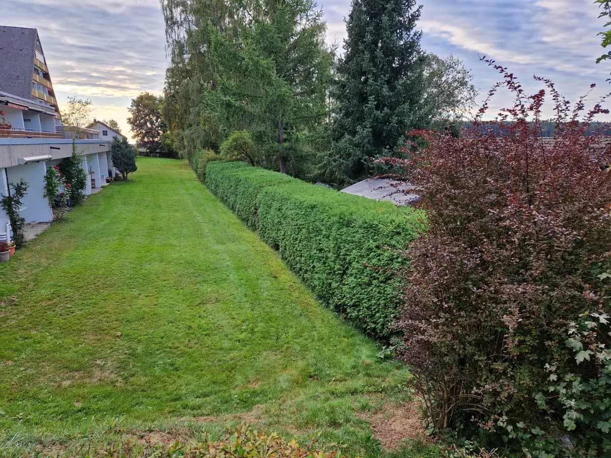 Hausmeisterservice & Gebäudebetreuung – Referenzbild 2 von Hausmeisterservice Fischer in Unterkirnach