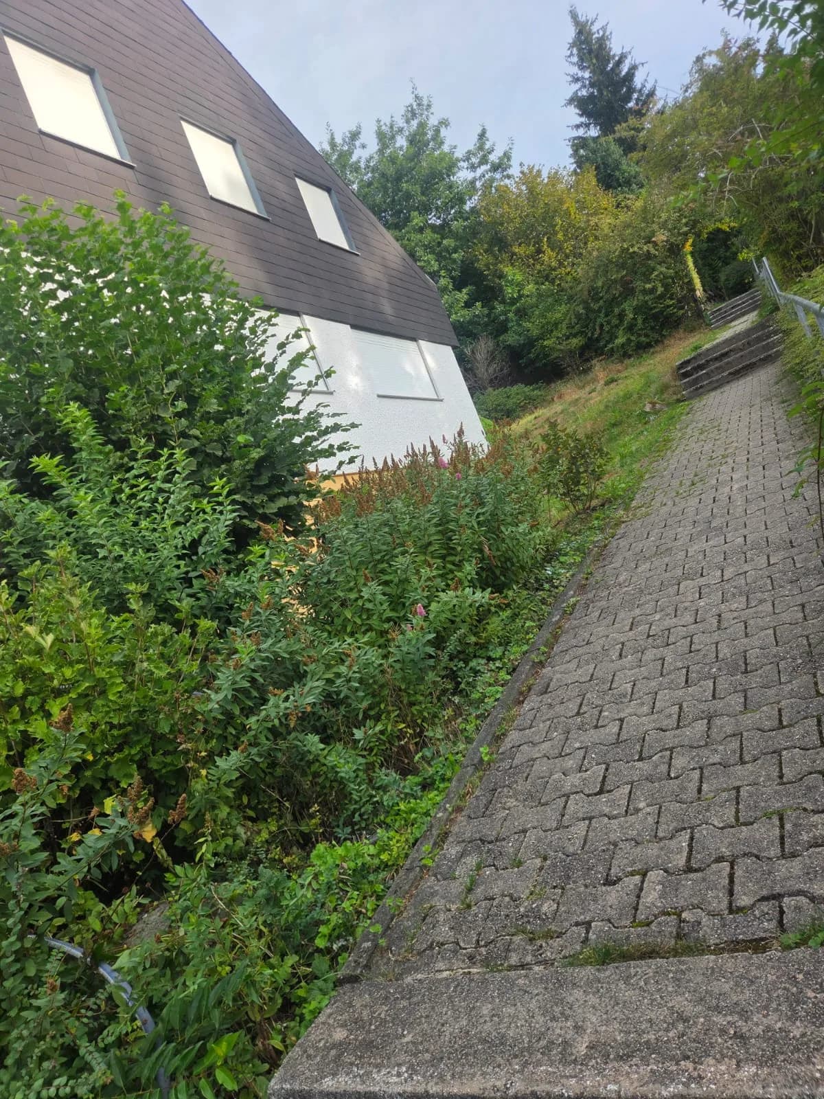 Vorher