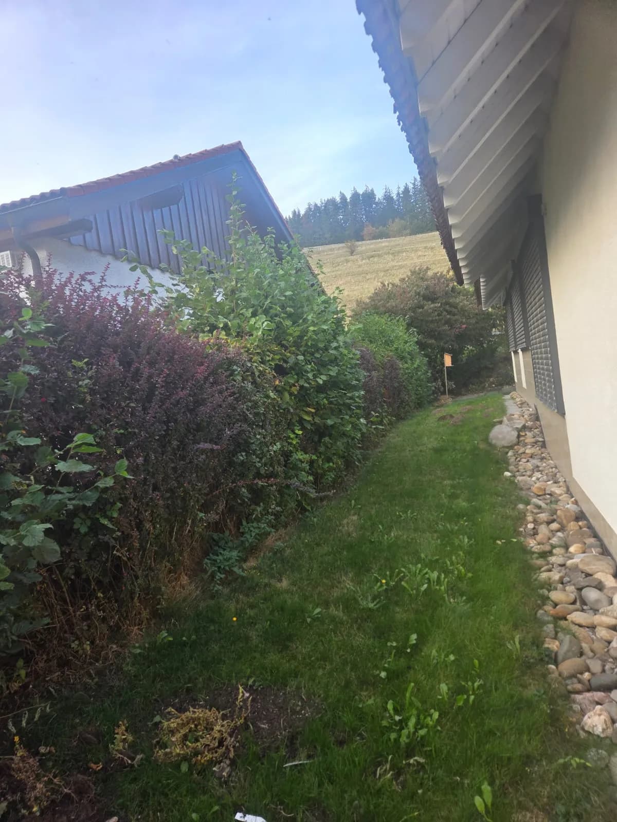 Vorher